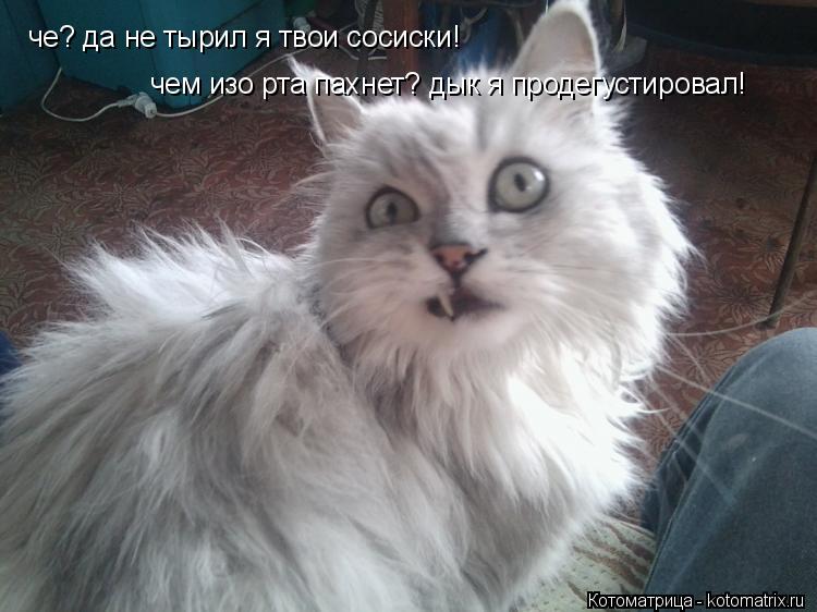 че? да не тырил я твои сосиски! чем изо рта пахнет? дык я продегустировал!... Котоматрица: че? да не тырил я твои сосиски! чем изо рта пахнет? дык я продегустировал!