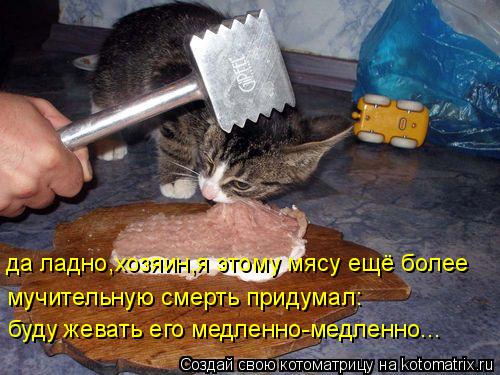 Котоматрица: да ладно,хозяин,я этому мясу ещё более мучительную смерть придумал: буду жевать его медленно-медленно...