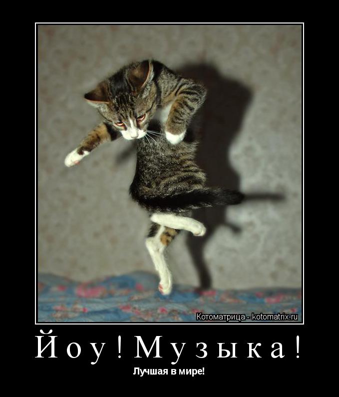 Йоу!Музыка! Лучшая в мире!... Котоматрица: Йоу!Музыка! Лучшая в мире!