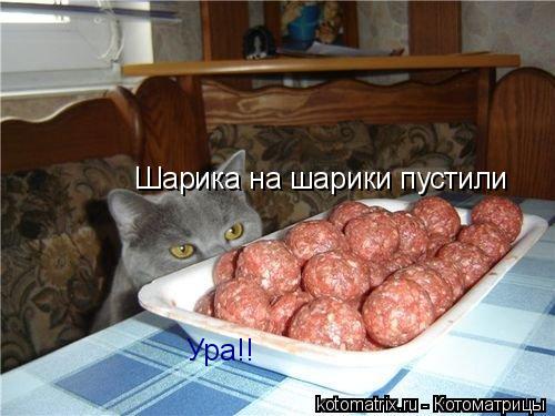 Шарика на шарики пустили Ура!!... Котоматрица: Шарика на шарики пустили Ура!!