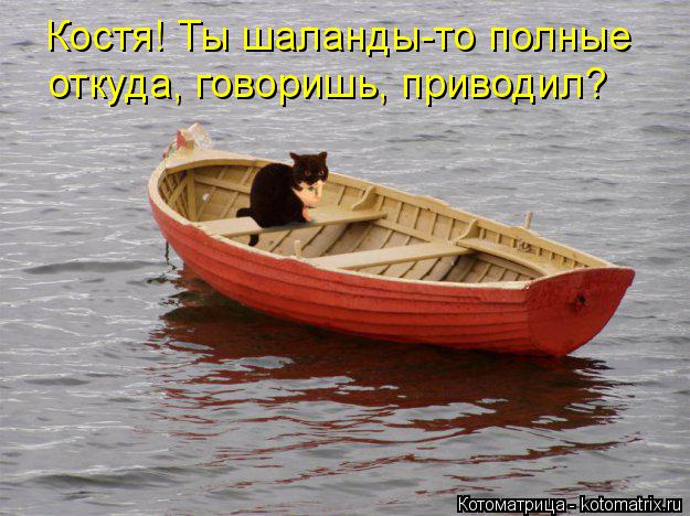 Костя! Ты шаланды-то полные откуда, говоришь, приводил?... Котоматрица: Костя! Ты шаланды-то полные откуда, говоришь, приводил?