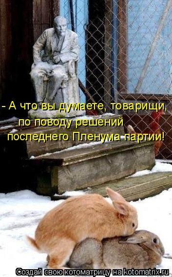 - А что вы думаете, товарищи, последнего Пленума партии! по поводу решений... Котоматрица: - А что вы думаете, товарищи, последнего Пленума партии! по поводу решений
