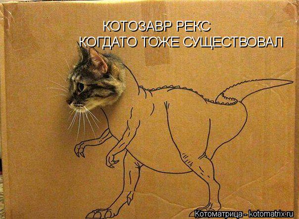 КОТОЗАВР РЕКС КОГДАТО ТОЖЕ СУЩЕСТВОВАЛ... Котоматрица: КОТОЗАВР РЕКС КОГДАТО ТОЖЕ СУЩЕСТВОВАЛ