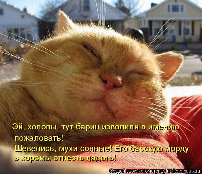 пожаловать! в хоромы отнесть надоть! Эй, холопы, тут барин изволили в имению Шевелись, мухи сонные! Е... Котоматрица: пожаловать! в хоромы отнесть надоть! Эй, холопы, тут барин изволили в имению Шевелись, мухи сонные! Его барскую морду