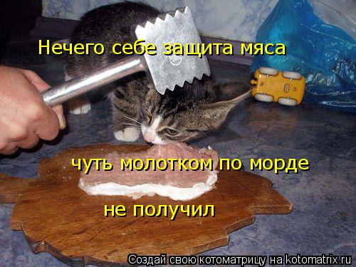 Нечего себе защита мяса Нечего себе защита мяса чуть молотком по морде не получил не получил... Котоматрица: Нечего себе защита мяса Нечего себе защита мяса чуть молотком по морде не получил не получил