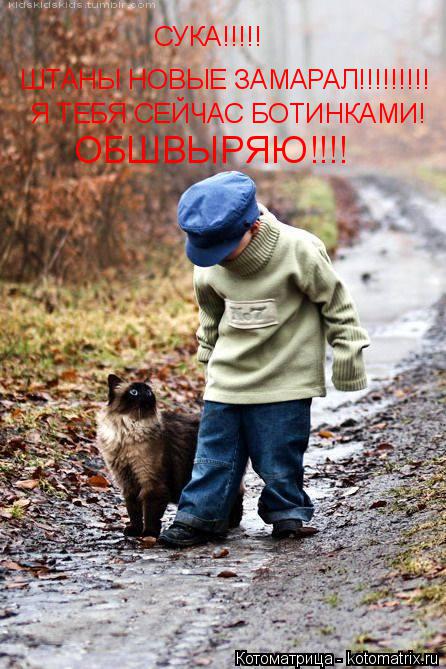 СУКА!!!!! ШТАНЫ НОВЫЕ ЗАМАРАЛ!!!!!!!!! Я ТЕБЯ СЕЙЧАС БОТИНКАМИ! ОБШВЫРЯЮ!!!!... Котоматрица: СУКА!!!!! ШТАНЫ НОВЫЕ ЗАМАРАЛ!!!!!!!!! Я ТЕБЯ СЕЙЧАС БОТИНКАМИ! ОБШВЫРЯЮ!!!!