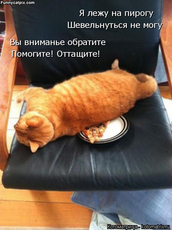 Я лежу на пирогу Шевельнуться не могу Вы вниманье обратите Помогите! Оттащите!... Котоматрица: Я лежу на пирогу Шевельнуться не могу Вы вниманье обратите Помогите! Оттащите!