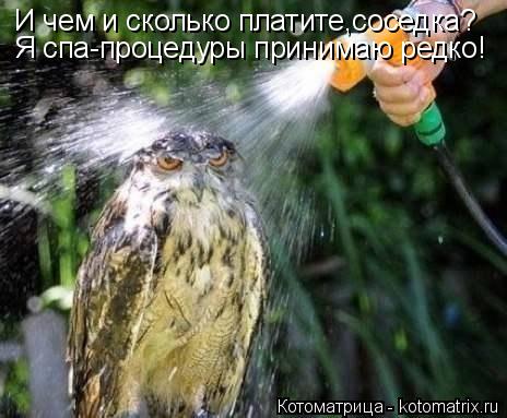 И чем и сколько платите,соседка? Я спа-процедуры принимаю редко!... Котоматрица: И чем и сколько платите,соседка? Я спа-процедуры принимаю редко!