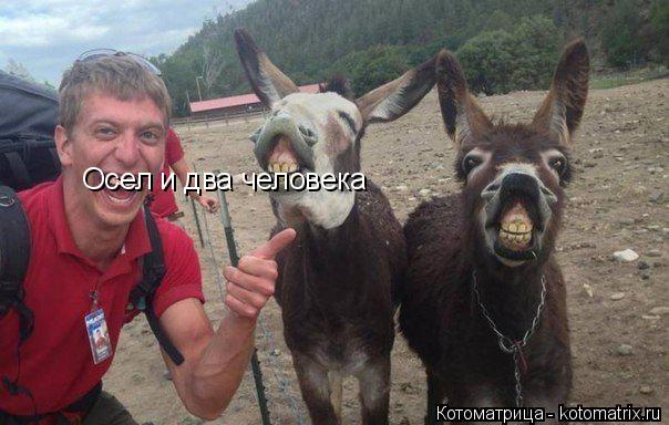 Осел и два человека Осел и два человека... Котоматрица: Осел и два человека Осел и два человека
