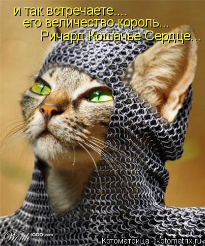 и так встречаете.... его величество король... Ричард Кошачье Сердце...... Котоматрица: и так встречаете.... его величество король... Ричард Кошачье Сердце...