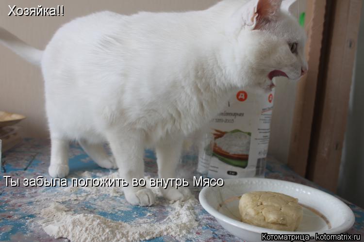 Хозяйка!! Ты забыла положить во внутрь Мясо... Котоматрица: Хозяйка!! Ты забыла положить во внутрь Мясо