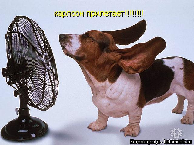 Котоматрица: карлсон прилетает!!!!!!!!