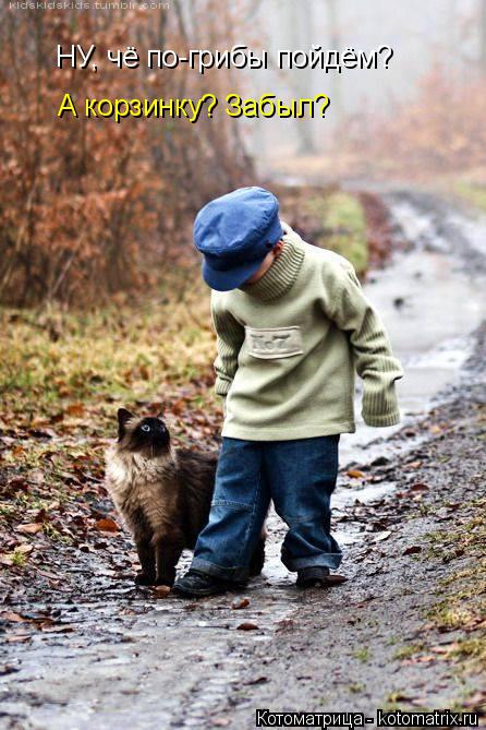 НУ, чё по-грибы пойдём? А корзинку? Забыл?... Котоматрица: НУ, чё по-грибы пойдём? А корзинку? Забыл?