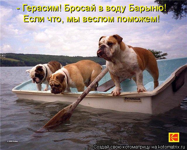 - Герасим! Бросай в воду Барыню! Если что, мы веслом поможем!... Котоматрица: - Герасим! Бросай в воду Барыню! Если что, мы веслом поможем!