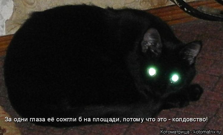 За одни глаза её сожгли б на площади, потому что это - колдовство!... Котоматрица: За одни глаза её сожгли б на площади, потому что это - колдовство!