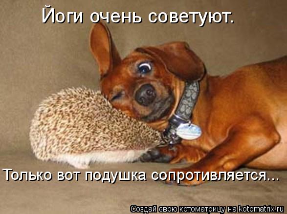Йоги очень советуют. Только вот подушка сопротивляется...... Котоматрица: Йоги очень советуют. Только вот подушка сопротивляется...