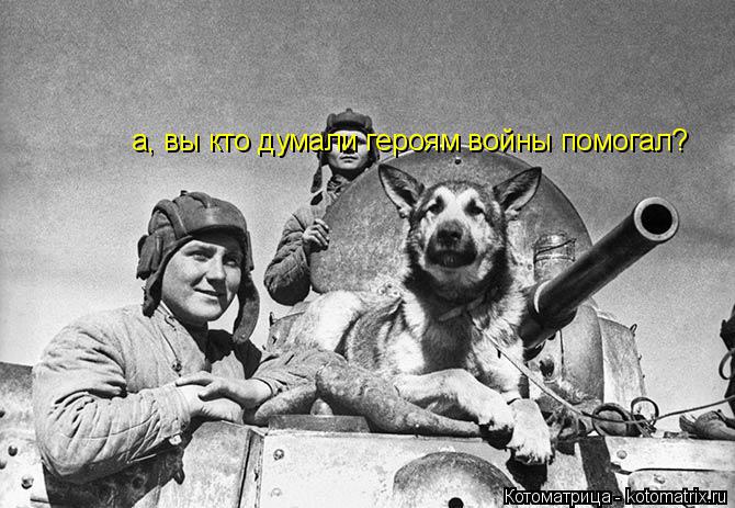 а, вы кто думали героям войны помогал?... Котоматрица: а, вы кто думали героям войны помогал?