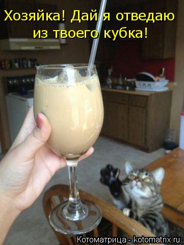 Хозяйка! Дай я отведаю из твоего кубка!... Котоматрица: Хозяйка! Дай я отведаю из твоего кубка!