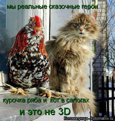 мы реальные сказочные герои курочка ряба и кот в сапогах и это не 3D... Котоматрица: мы реальные сказочные герои курочка ряба и кот в сапогах и это не 3D