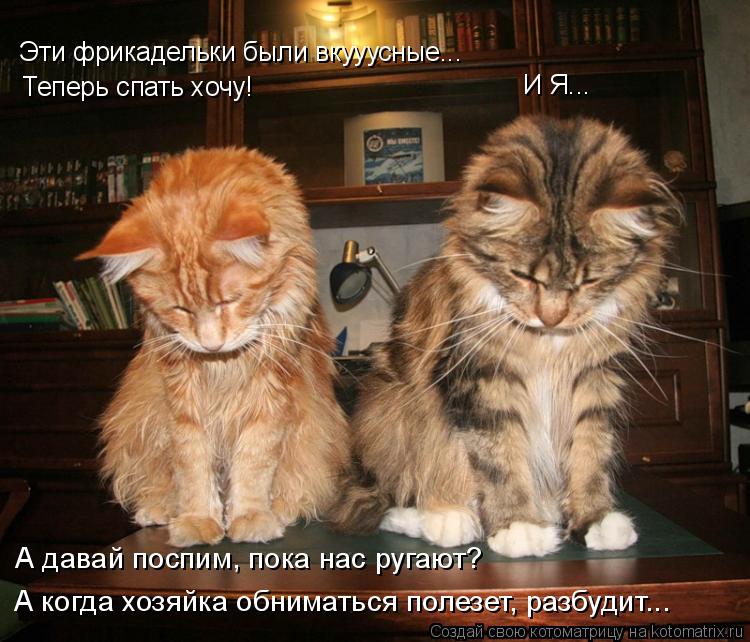 Эти фрикадельки были вкууусные... Теперь спать хочу! И Я... А давай поспим, пока нас ругают? А когда... Котоматрица: Эти фрикадельки были вкууусные... Теперь спать хочу! И Я... А давай поспим, пока нас ругают? А когда хозяйка обниматься полезет, разбудит...