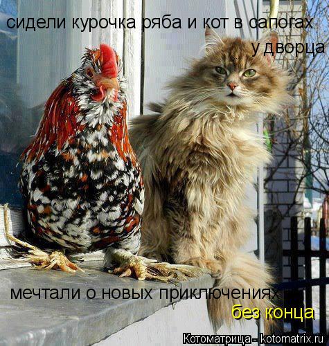 сидели курочка ряба и кот в сапогах у дворца мечтали о новых приключениях без конца... Котоматрица: сидели курочка ряба и кот в сапогах у дворца мечтали о новых приключениях без конца