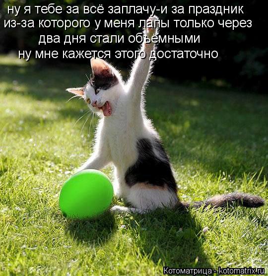 Котоматрица: ну я тебе за всё заплачу-и за праздник из-за которого у меня лапы только через  два дня стали объёмными ну мне кажется этого достаточно