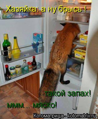 ммм... мяско! такой запах! Хазяйка: а ну брысь !... Котоматрица: ммм... мяско! такой запах! Хазяйка: а ну брысь !