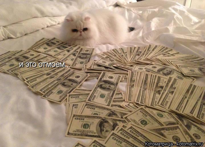 и это отмоем...... Котоматрица: и это отмоем...