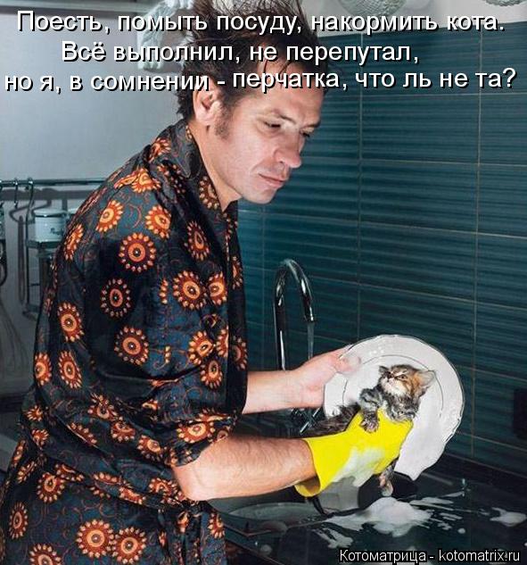 Поесть, помыть посуду, накормить кота. Всё выполнил, не перепутал, перчатка, что ль не та? но я, в со... Котоматрица: Поесть, помыть посуду, накормить кота. Всё выполнил, не перепутал, перчатка, что ль не та? но я, в сомнении -