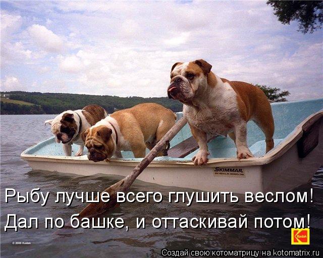 Дал по башке, и оттаскивай потом! Рыбу лучше всего глушить веслом!... Котоматрица: Дал по башке, и оттаскивай потом! Рыбу лучше всего глушить веслом!