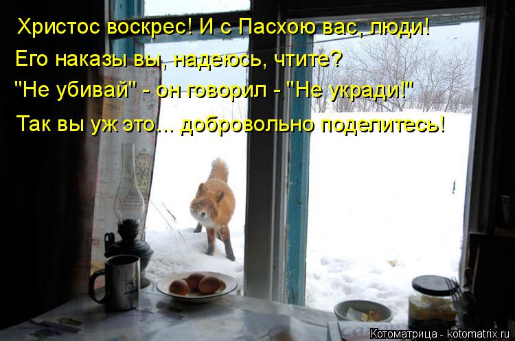 Котоматрица: Его наказы вы, надеюсь, чтите? "Не убивай" - он говорил - "Не укради!" Так вы уж это... добровольно поделитесь! Христос воскрес! И с Пасхою вас, люд