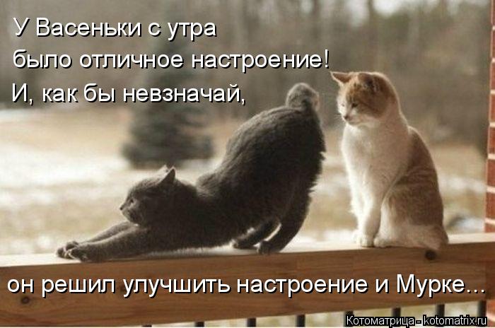 У Васеньки с утра было отличное настроение! И, как бы невзначай, он решил улучшить настроение и Мур... Котоматрица: У Васеньки с утра было отличное настроение! И, как бы невзначай, он решил улучшить настроение и Мурке...