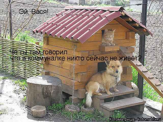 Эй, Вася! Чё ты там говорил что в коммуналке никто сейчас не живёт?... Котоматрица: Эй, Вася! Чё ты там говорил что в коммуналке никто сейчас не живёт?