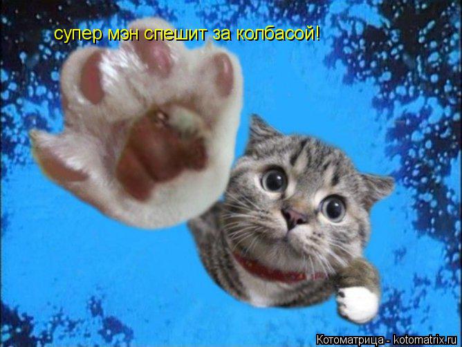 супер мэн спешит за колбасой!... Котоматрица: супер мэн спешит за колбасой!