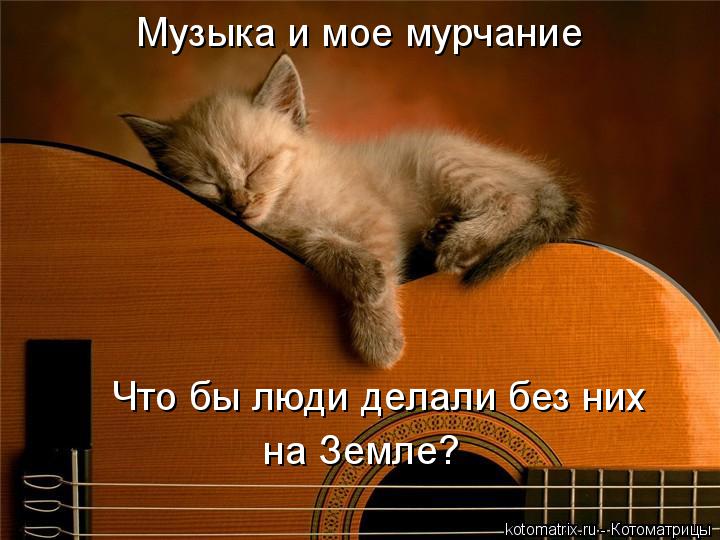 Музыка и мое мурчание Что бы люди делали без них на Земле?... Котоматрица: Музыка и мое мурчание Что бы люди делали без них на Земле?