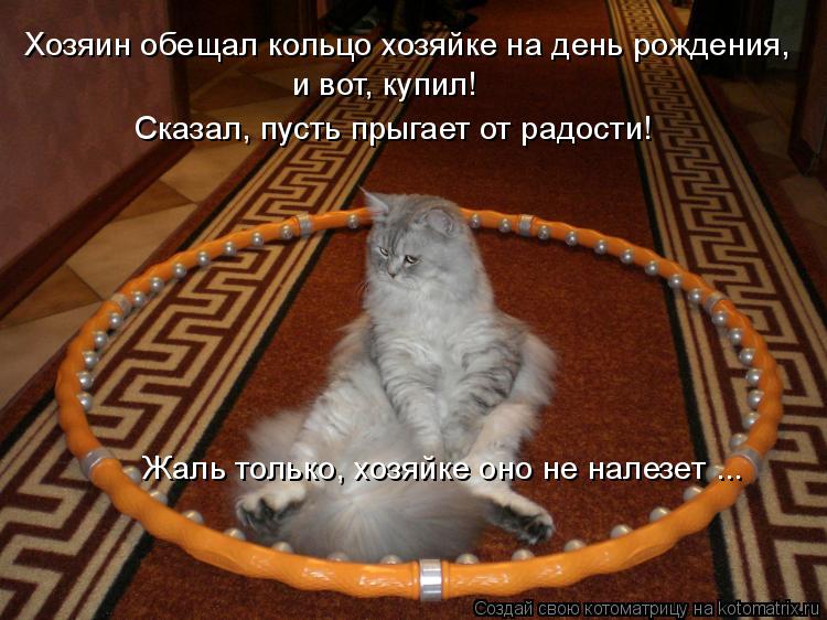 Хозяин обещал кольцо хозяйке на день рождения, и вот, купил! Сказал, пусть прыгает от радости! Жаль т... Котоматрица: Хозяин обещал кольцо хозяйке на день рождения, и вот, купил! Сказал, пусть прыгает от радости! Жаль только, хозяйке оно не налезет ...