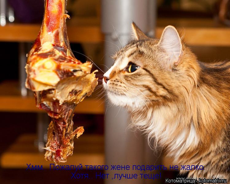 Хмм.. Пожалуй такого жене подарить не жалко. Хотя.. Нет ,лучше теще!... Котоматрица: Хмм.. Пожалуй такого жене подарить не жалко. Хотя.. Нет ,лучше теще!