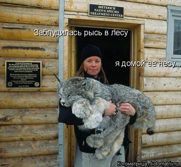 Заблудилась рысь в лесу Заблудилась рысь в лесу я домой её несу... я домой её несу...... Котоматрица: Заблудилась рысь в лесу Заблудилась рысь в лесу я домой её несу... я домой её несу...