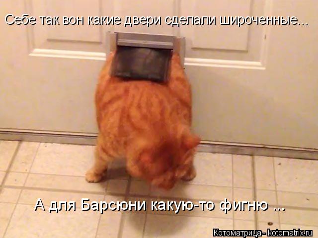 Себе так вон какие двери сделали широченные... А для Барсюни какую-то фигню ...... Котоматрица: Себе так вон какие двери сделали широченные... А для Барсюни какую-то фигню ...