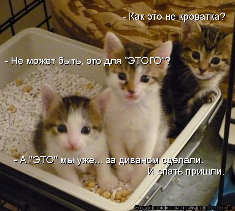 - Как это не кроватка? - Не может быть, это для "ЭТОГО"? - А "ЭТО" мы уже... за диваном сделали. И с... Котоматрица: - Как это не кроватка? - Не может быть, это для "ЭТОГО"? - А "ЭТО" мы уже... за диваном сделали. И спать пришли.