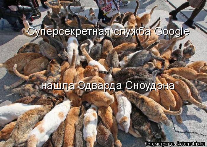 Суперсекретная служба Google нашла Эдварда Сноудэна... Котоматрица: Суперсекретная служба Google нашла Эдварда Сноудэна