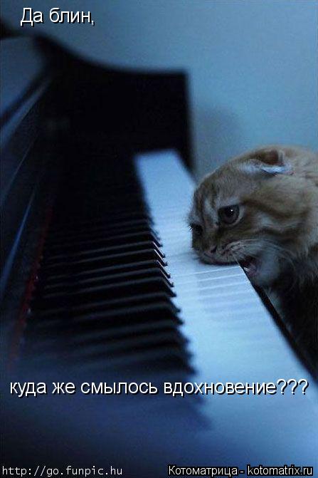 Да блин, куда же смылось вдохновение???... Котоматрица: Да блин, куда же смылось вдохновение???