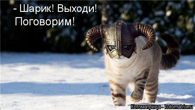 - Шарик! Выходи! Поговорим!... Котоматрица: - Шарик! Выходи! Поговорим!