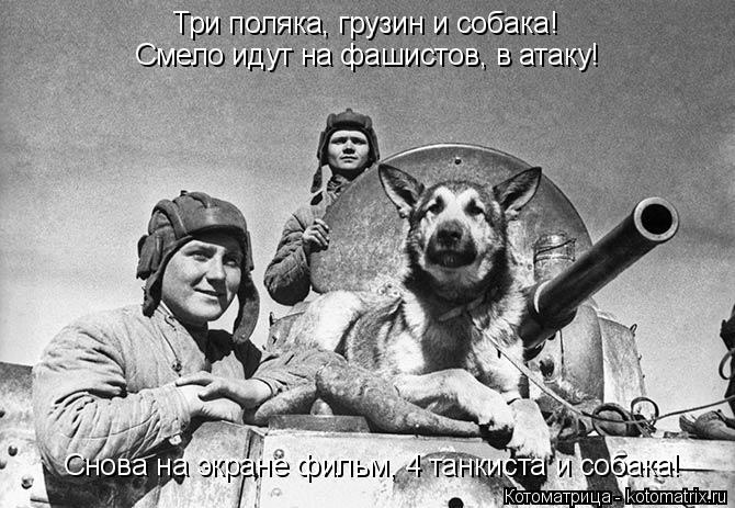Три поляка, грузин и собака! Смело идут на фашистов, в атаку! Снова на экране фильм, 4 танкиста и соб... Котоматрица: Три поляка, грузин и собака! Смело идут на фашистов, в атаку! Снова на экране фильм, 4 танкиста и собака!