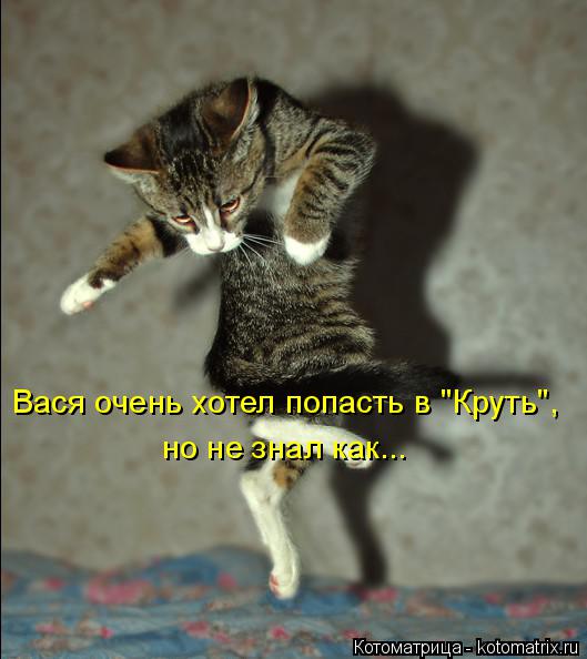 Вася очень хотел попасть в "Круть", но не знал как...... Котоматрица: Вася очень хотел попасть в "Круть", но не знал как...