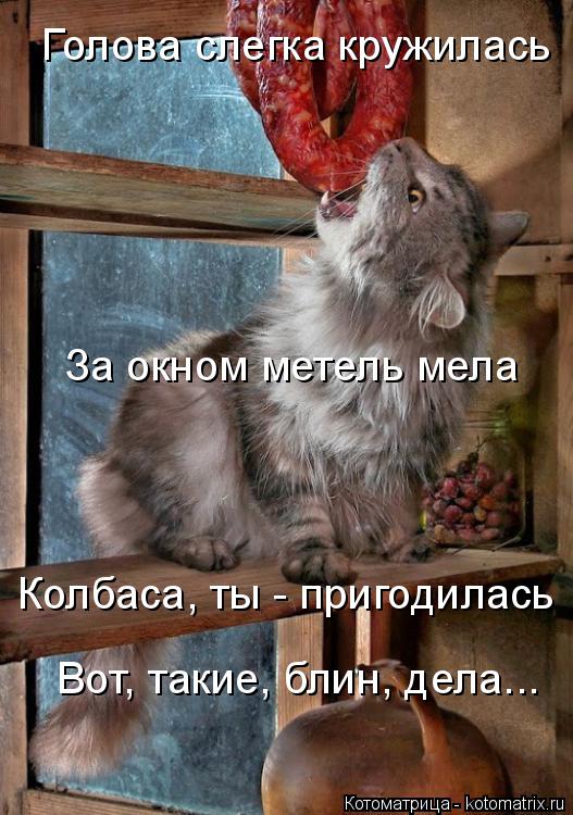 Голова слегка кружилась За окном метель мела Колбаса, ты - пригодилась Вот, такие, блин, дела...... Котоматрица: Голова слегка кружилась За окном метель мела Колбаса, ты - пригодилась Вот, такие, блин, дела...