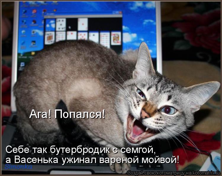 Ага! Попался! Себе так бутербродик с семгой, а Васенька ужинал вареной мойвой!... Котоматрица: Ага! Попался! Себе так бутербродик с семгой, а Васенька ужинал вареной мойвой!