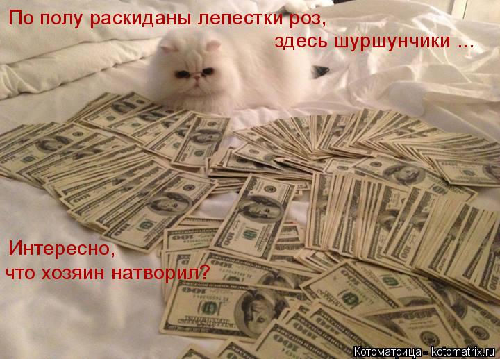 По полу раскиданы лепестки роз, здесь шуршунчики ... Интересно, что хозяин натворил?... Котоматрица: По полу раскиданы лепестки роз, здесь шуршунчики ... Интересно, что хозяин натворил?