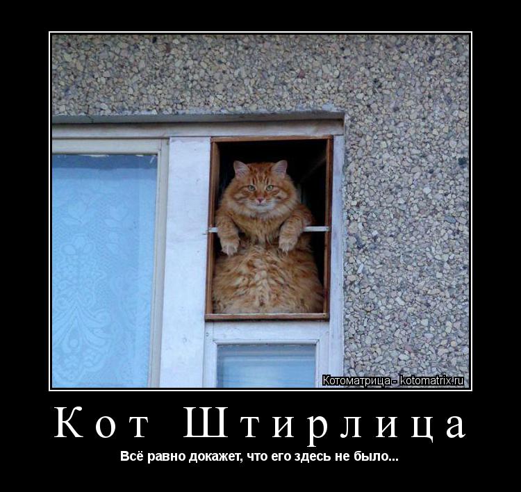 Кот Штирлица Всё равно докажет, что его здесь не было...... Котоматрица: Кот Штирлица Всё равно докажет, что его здесь не было...
