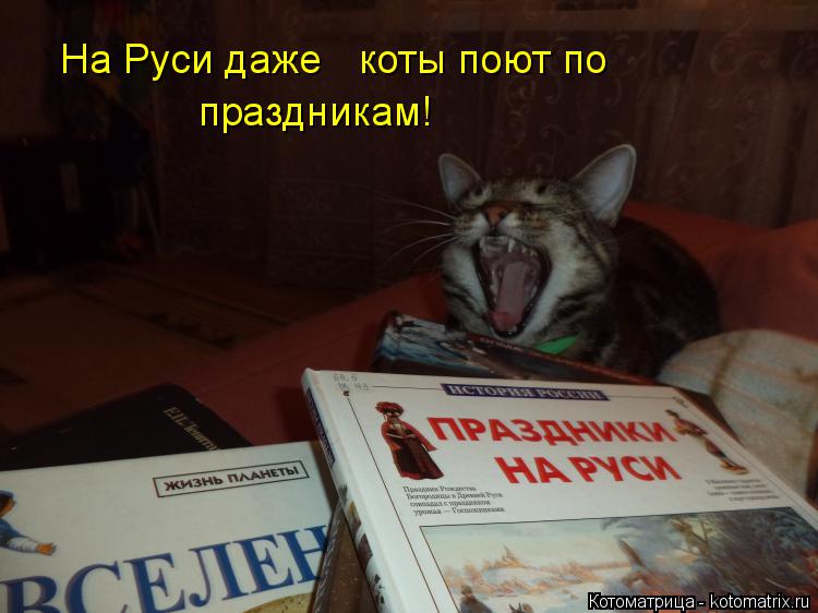 На Руси даже коты поют по праздникам!... Котоматрица: На Руси даже коты поют по праздникам!